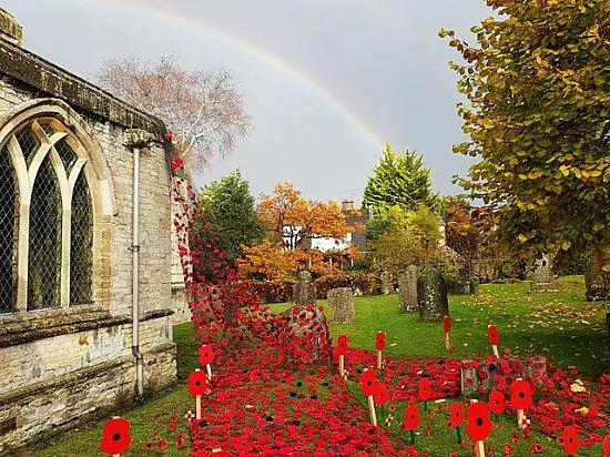 Poppies in Denford Parish Council church yard